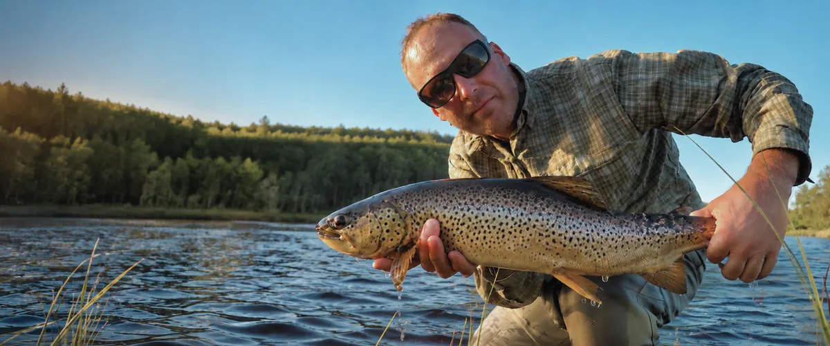 Angler with a large brown trout on a sunny river