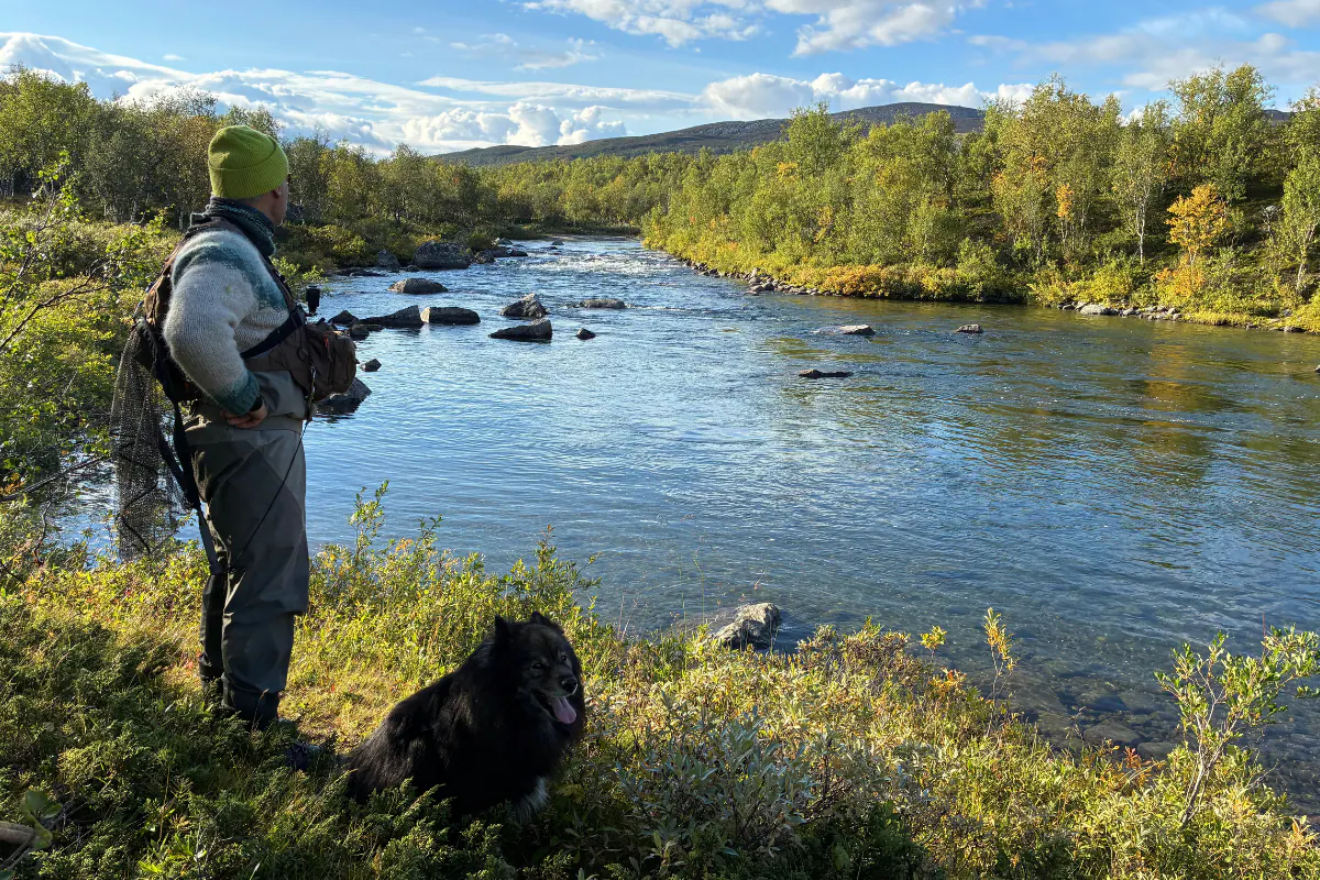 Angler and dog by a stream in Sweden