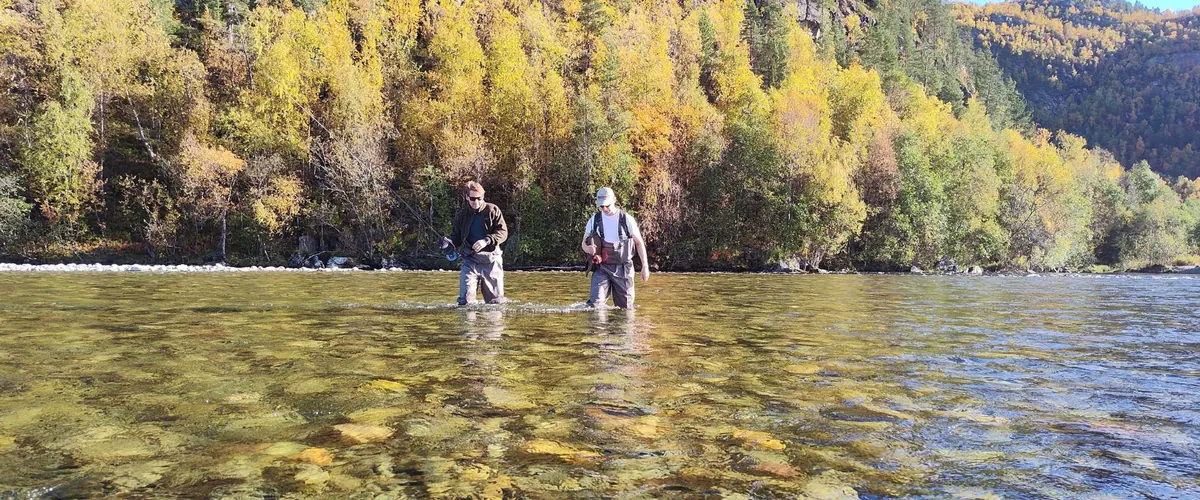 Two anglers wading crystal-clear water under autumn birches