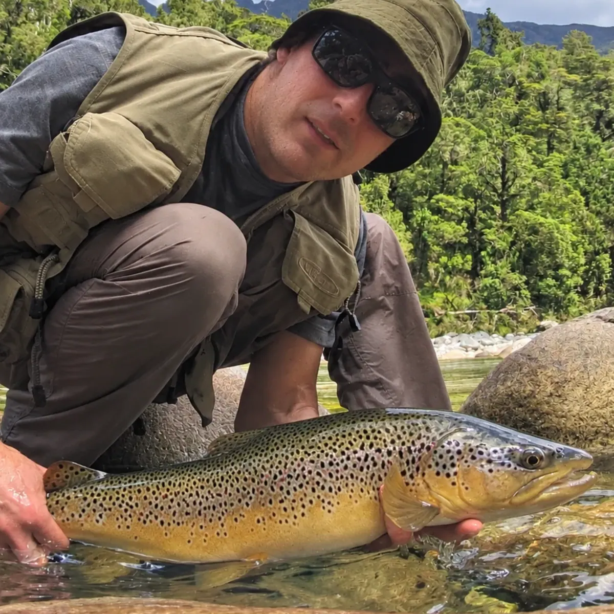 Big brown trout being released in New Zealand