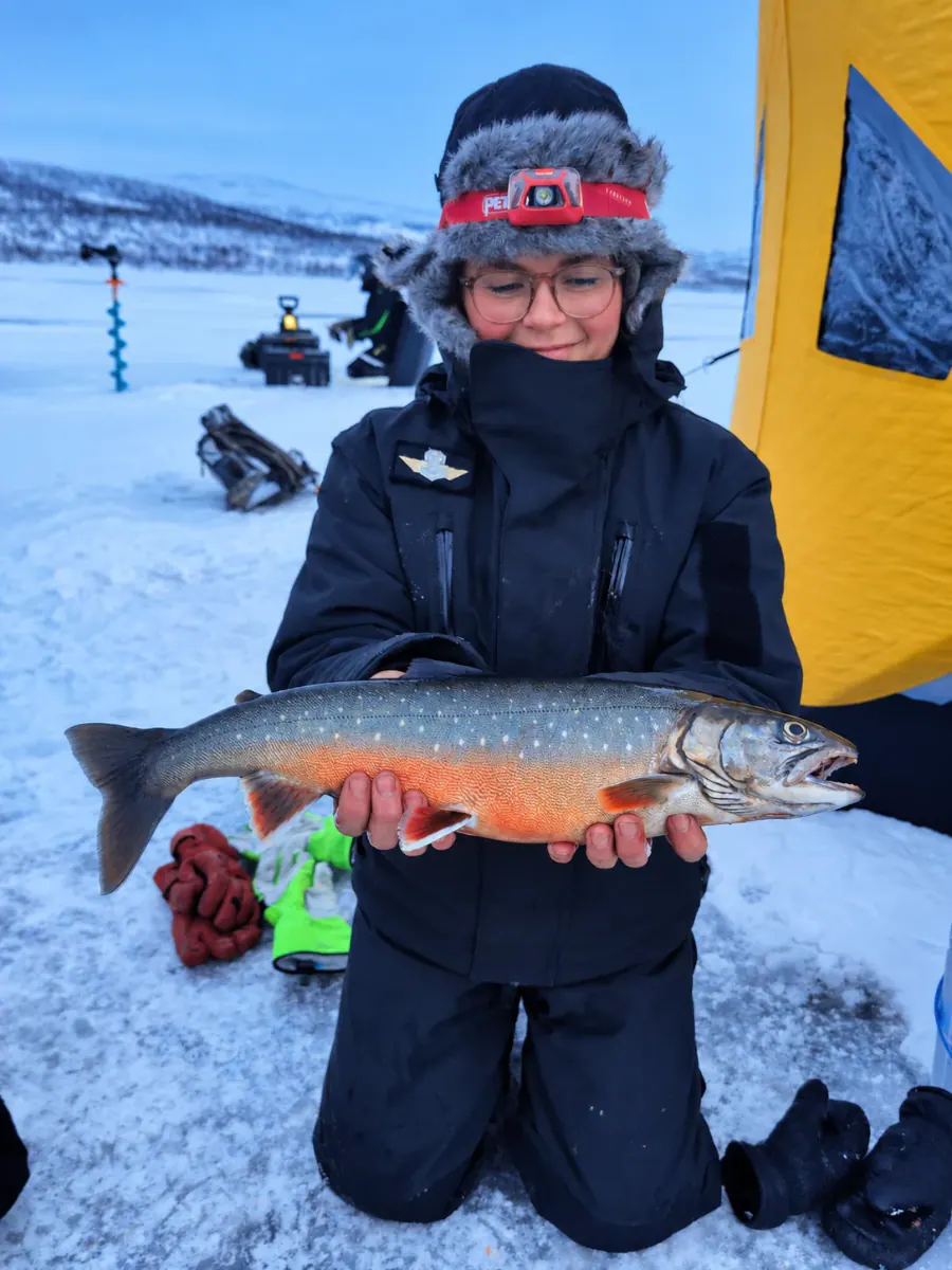 Arctic char caught through the ice next to an ice-fishing tent