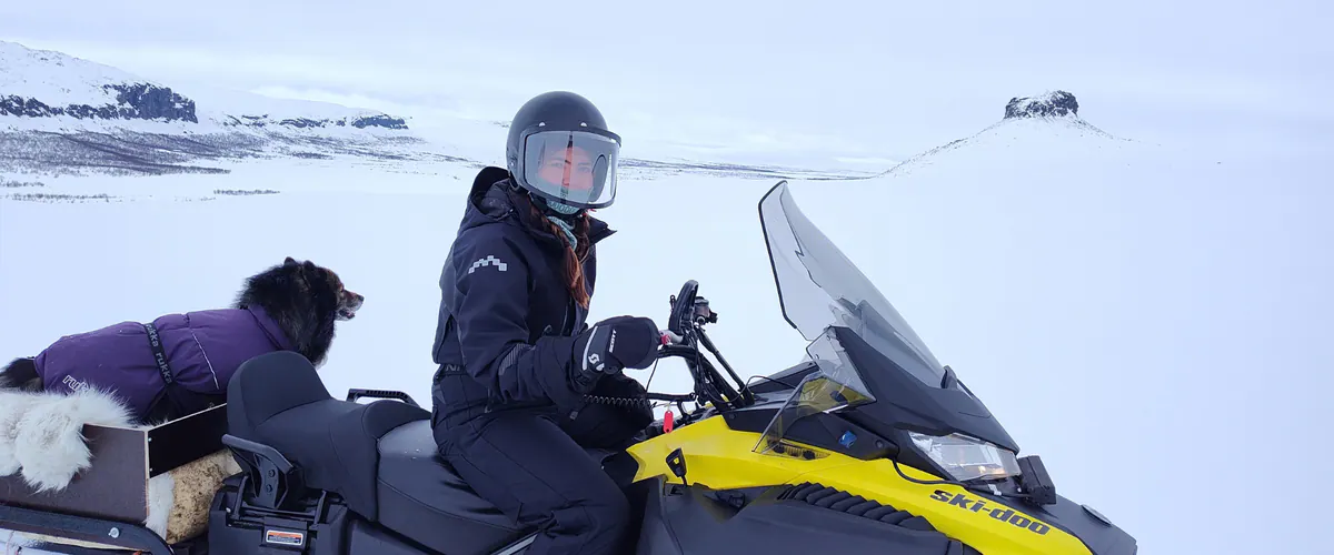 Guest on a snowmobile with a dog on the ice