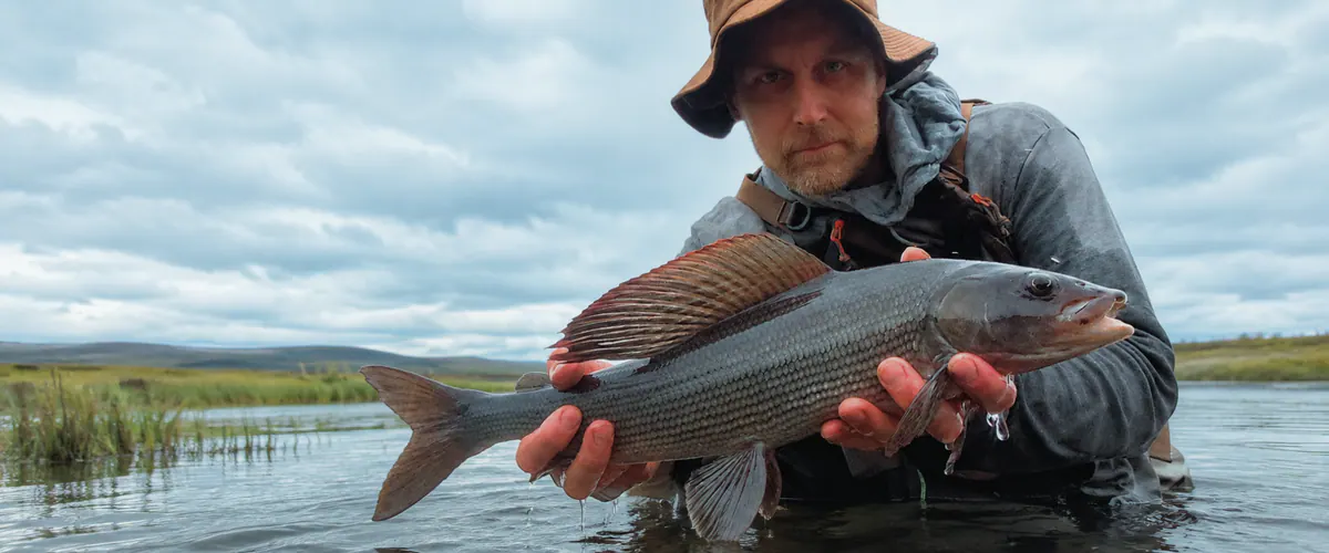 Kalastaja pitelee isoa harjusta Lapin joen rannalla