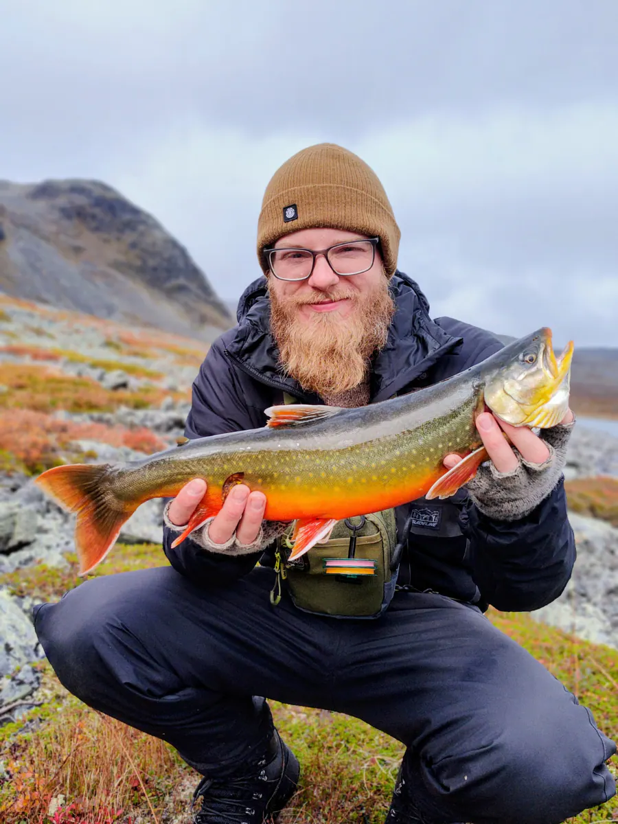 Bright red-bellied Arctic char held by an angler