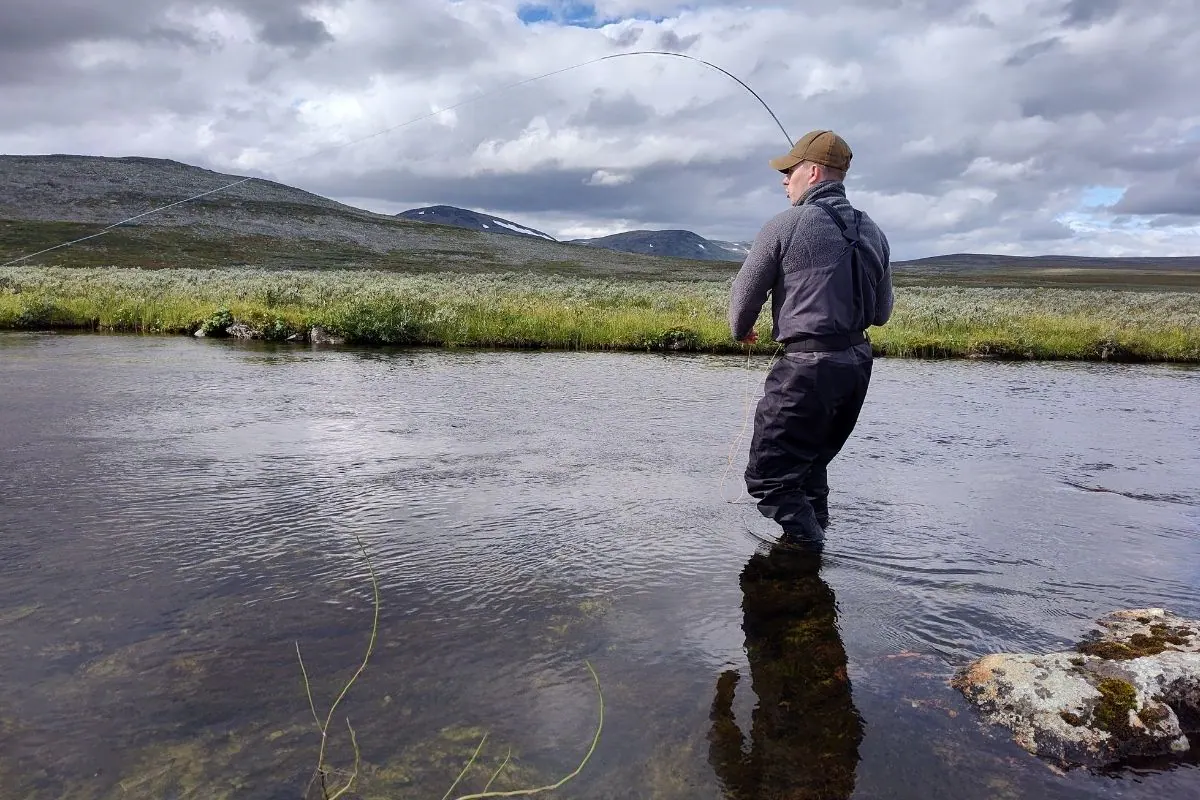Fly fisher casting a dry fly on a calm stream