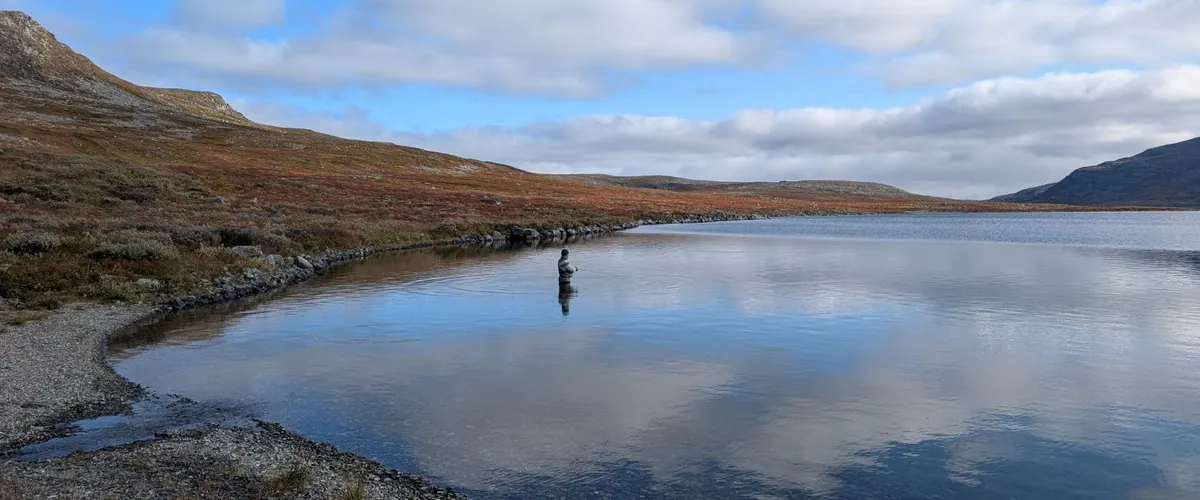 Fly fisher wading a calm wilderness lake