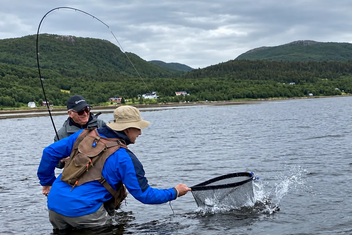 Guest netting a fish with Teemu in the river