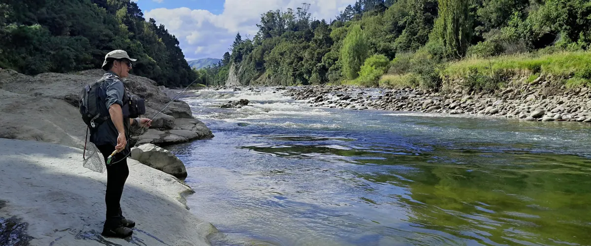 Clear river winding through New Zealand rainforest