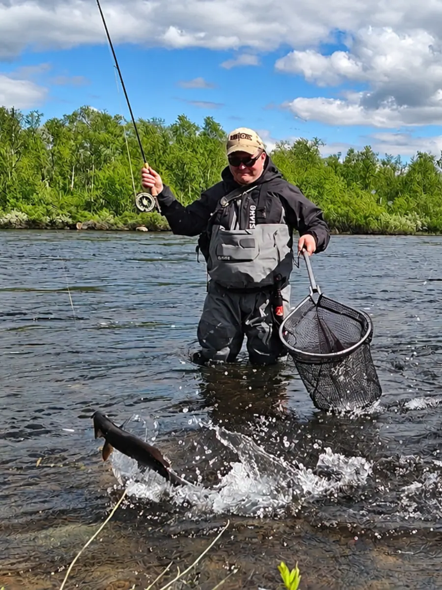 Guide netting a grayling in the river