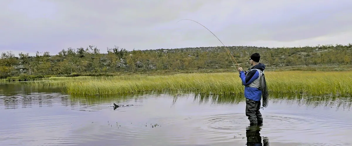 Fly fisher standing in a river at dusk