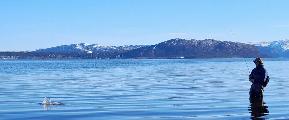 Calm fjord under snow-capped mountains