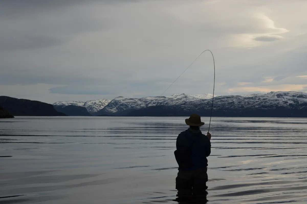 Angler with a bent rod in a calm fjord