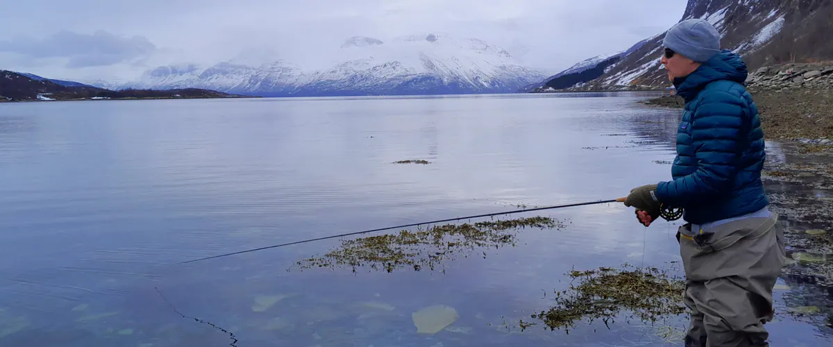 Fly line over the still water of a Norwegian fjord