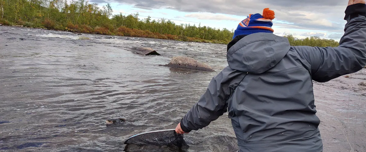 Fly fisher on a clear river in Lapland