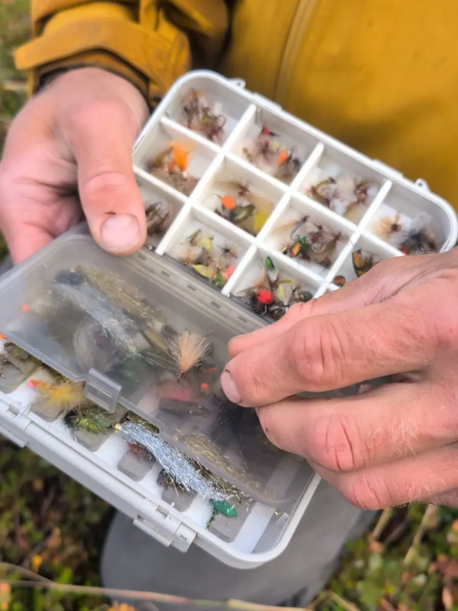 Fly box full of dry flies